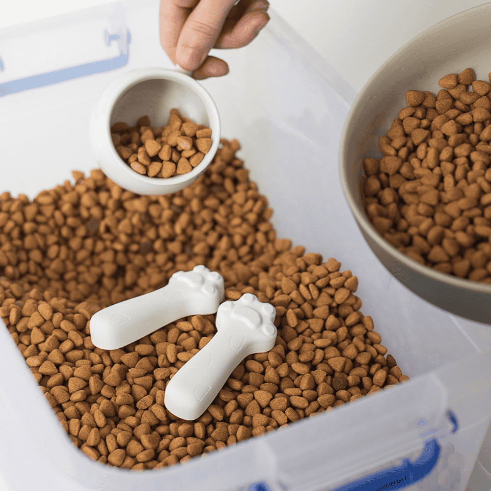 Dry cat or dog food with paw-shaped diatomite drying blocks on top of it